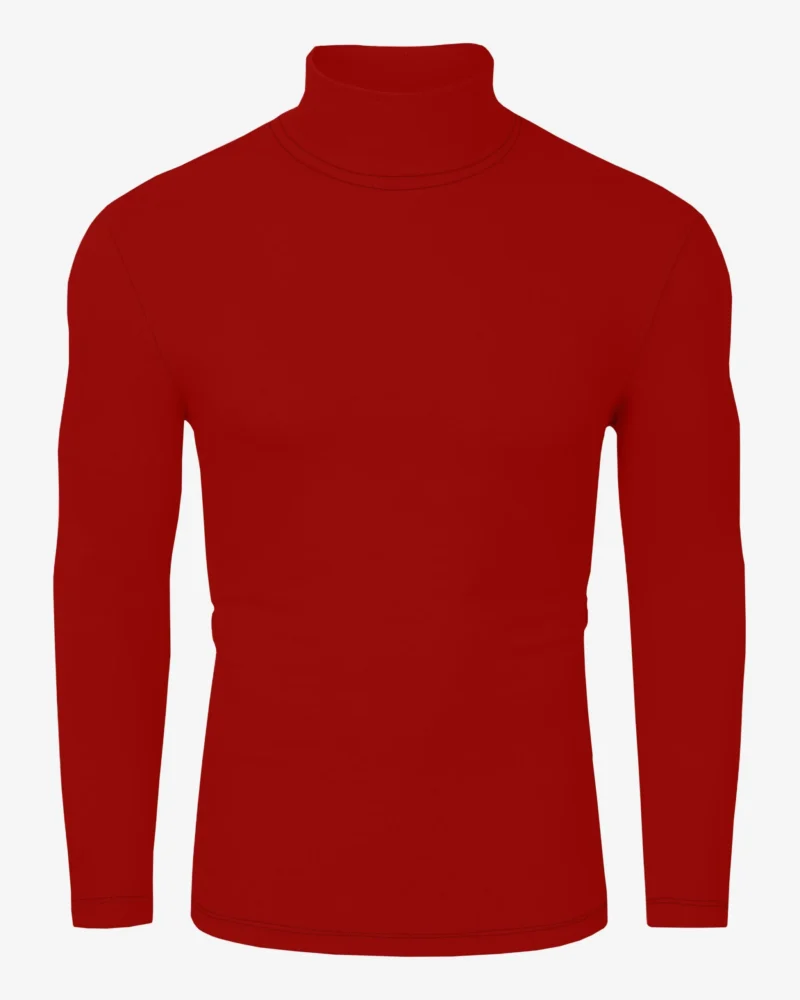 Kyle Long Sleeves Ribbed Turtleneck
