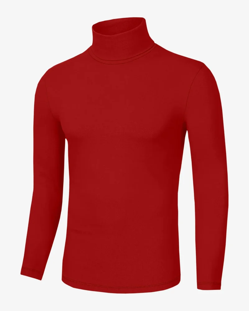 Kyle Long Sleeves Ribbed Turtleneck