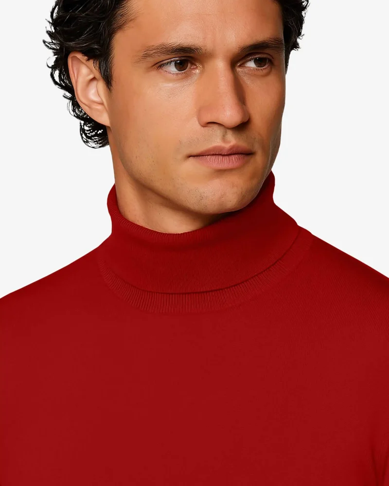 Kyle Long Sleeves Ribbed Turtleneck