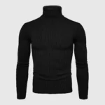 ribbed Turtleneck Sweater