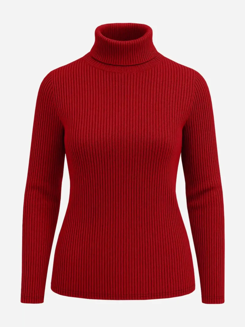 Jane rib knit cotton turtleneck sweater front view-black